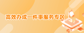 高效辦成一件事專區(qū)